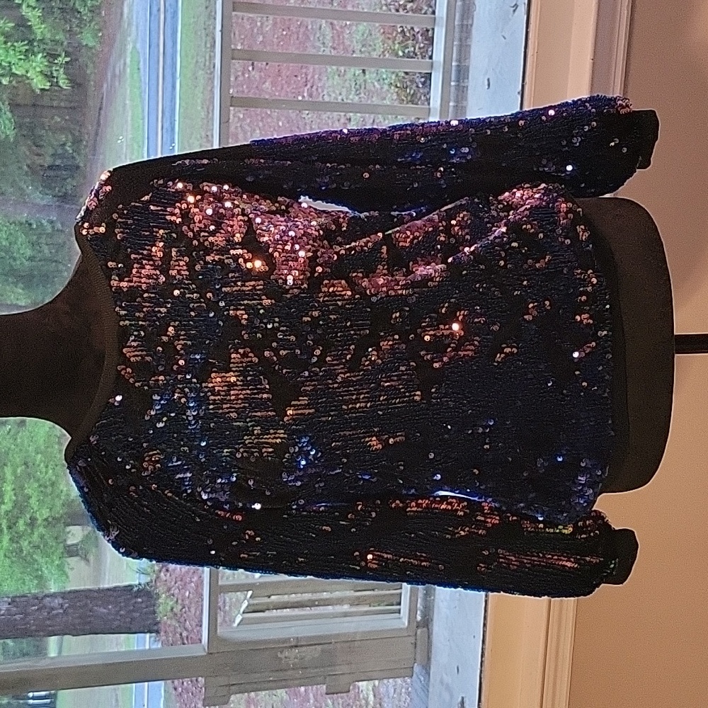 Hayden Iridescent Sequin Sweater Long Sleeve Crew Top Womens Small